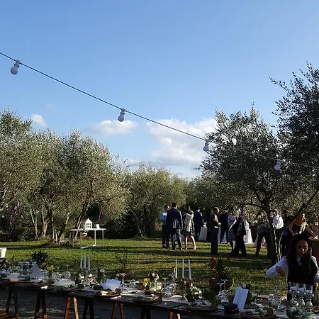 Ulivello Country house