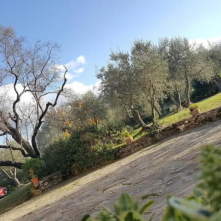 Ulivello Country house