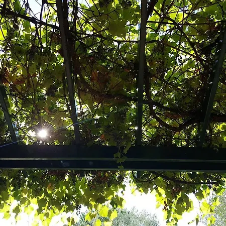 Country house Ulivello *