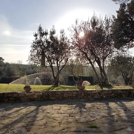 Ulivello Country house *