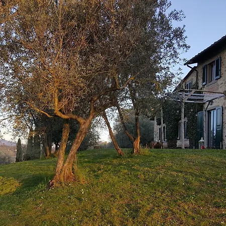 Country house Ulivello