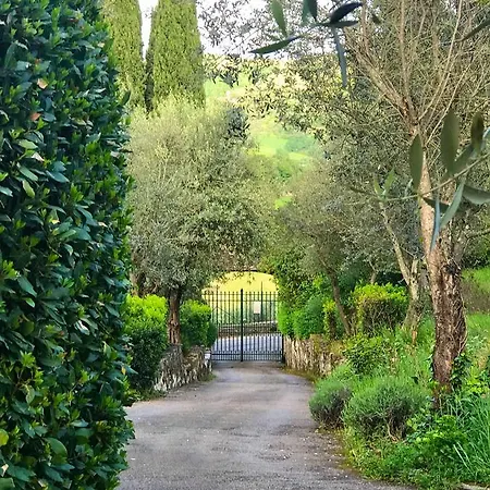 Ulivello Country house