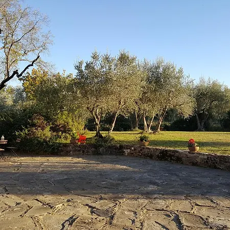 Casa de Campo Ulivello Florença