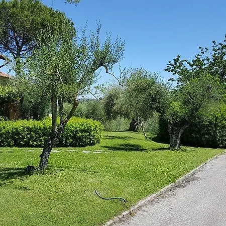 Ulivello Gospodarstwo wiejskie Florencja