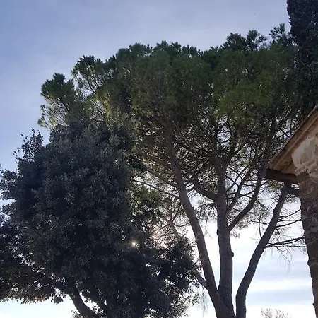 Ulivello Gospodarstwo wiejskie Florencja
