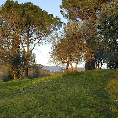 Gospodarstwo wiejskie Ulivello Florencja