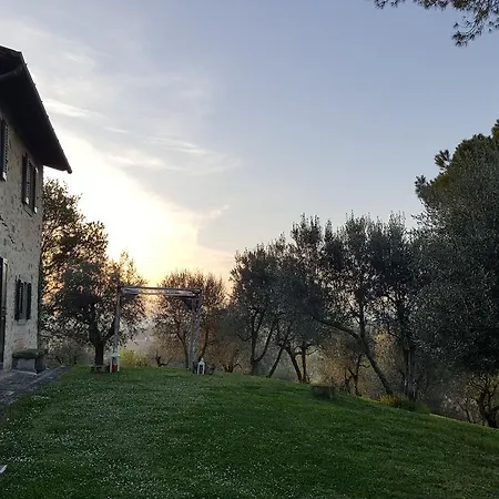 Ulivello Gospodarstwo wiejskie Florencja