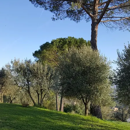 Gospodarstwo wiejskie Ulivello Florencja