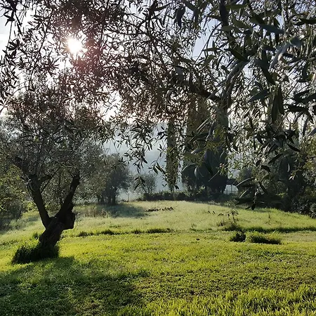 Ulivello Gospodarstwo wiejskie Florencja