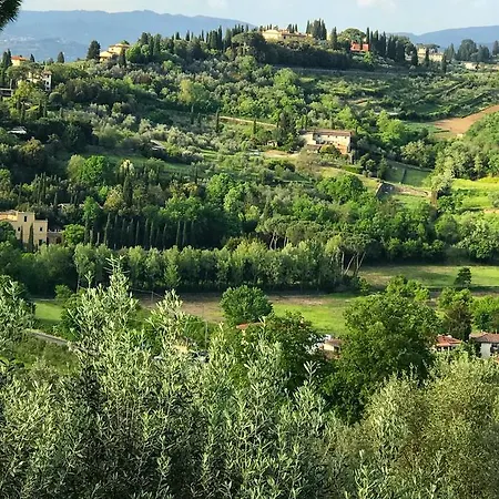 Ulivello * Florencja